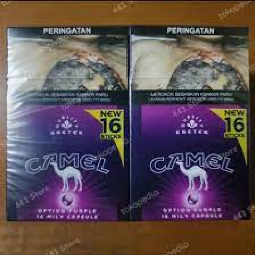 CAMEL PURPLE 16 BATANG