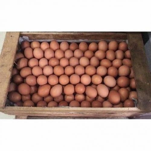 TELOR AYAM OMEGA PETI (14KG)