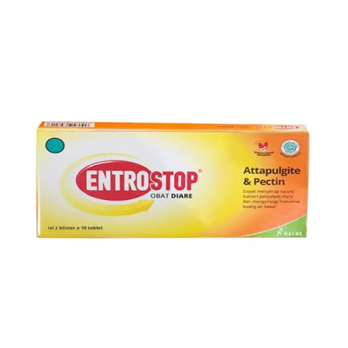 ENTROSTOP DEWASA TABLET (6)