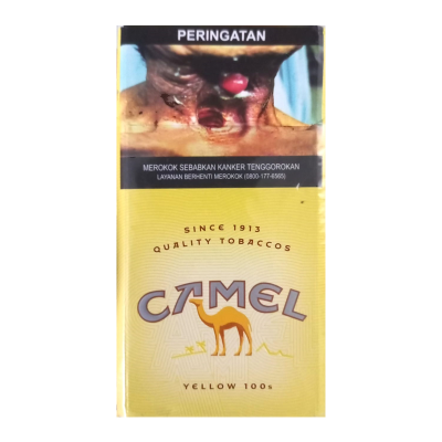 CAMEL YELLOW LONG