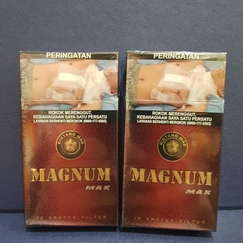 MAGNUM MAX 12BATANG (10)