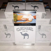 CAMEL WHITE -